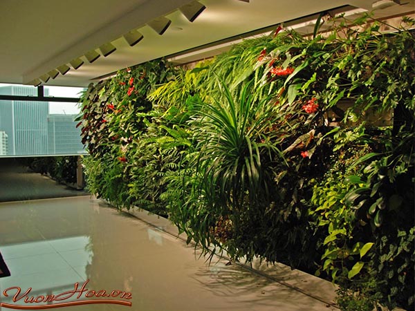 Kinh nghiệm chăm sóc vườn đứng 1