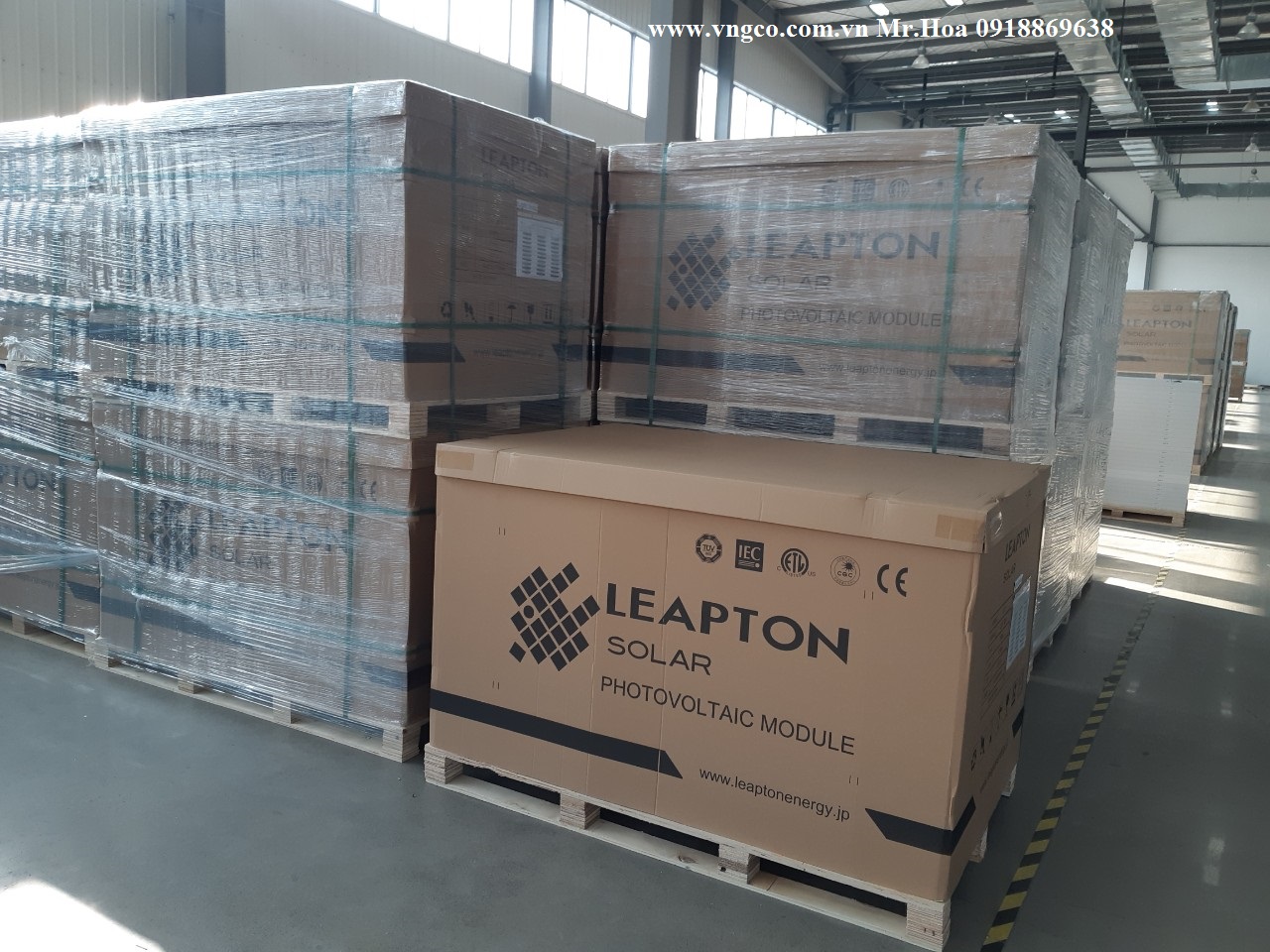 Cán bộ VNG thăm quan Nhà máy Leapton Solar 4