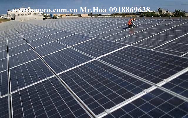 Cung cấp lắp đặt dự án năng lượng mặt trời hòa lưới 300kW 3