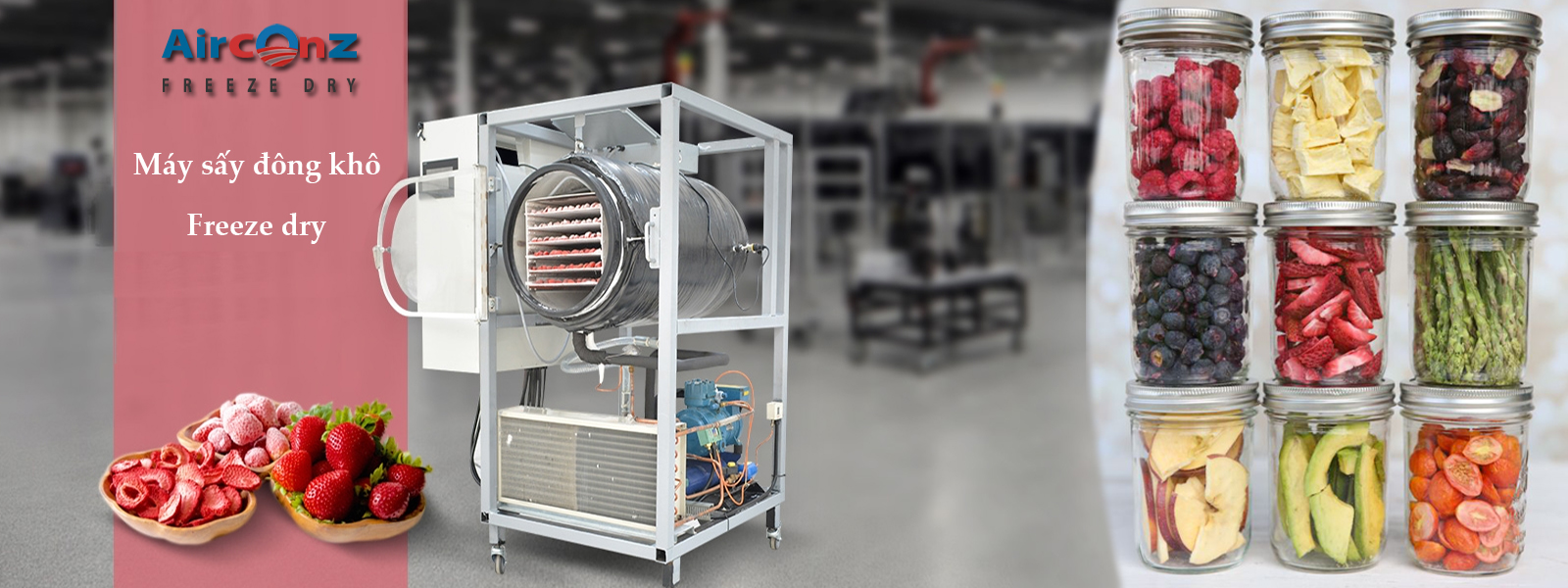 Sấy đông khô (Sấy thăng hoa)