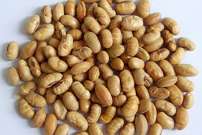 Cách làm đậu tương sấy khô giòn tan 2