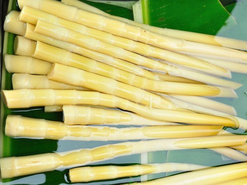 Quy trình sấy măng khô 3