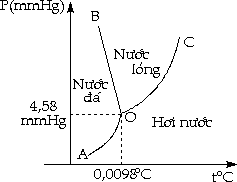 Sấy thăng hoa - Freeze drying là gì? 1