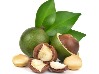 Quy trình sấy khô hạt Mắc ca