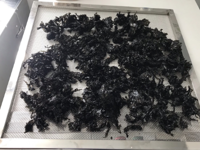 Cách thu hoạch và sấy khô rong biển