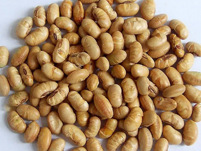 Cách làm đậu tương sấy khô giòn tan