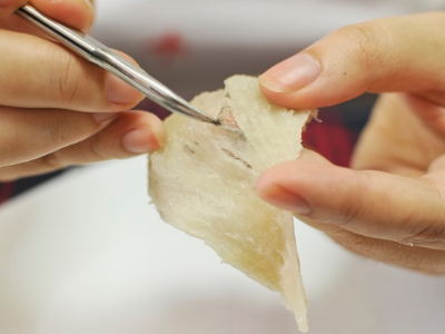 Phương pháp sấy khô tổ yến, sấy yến sào