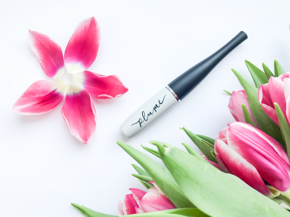 thuốc mọc mi Plume Lash 2
