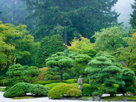 Dự án Cung cấp cây xanh cho vườn Nhật