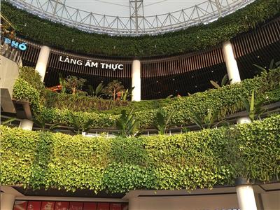 Cung cấp cây cảnh ngoại thất TTTM Aeon Mall Long Biên