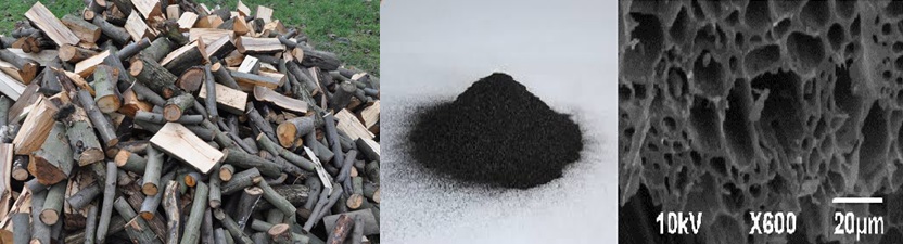 Chuyển giao công nghệ Biochar 1