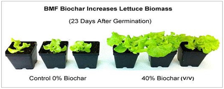 Chuyển giao công nghệ Biochar 2