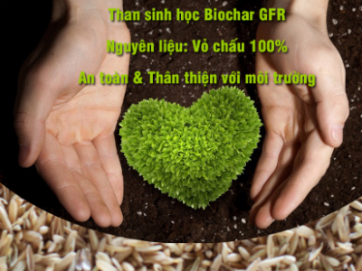 Biochar