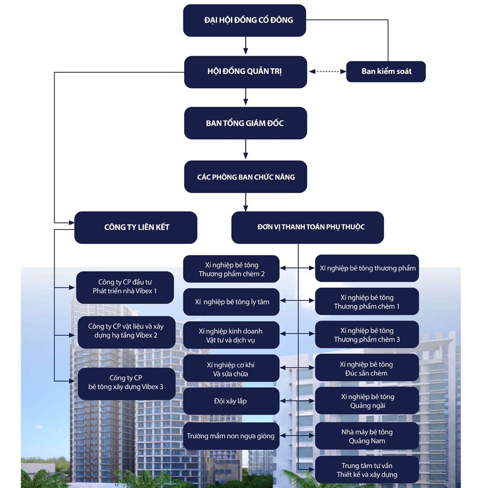 Sơ đồ tổ chức Công ty Vibex