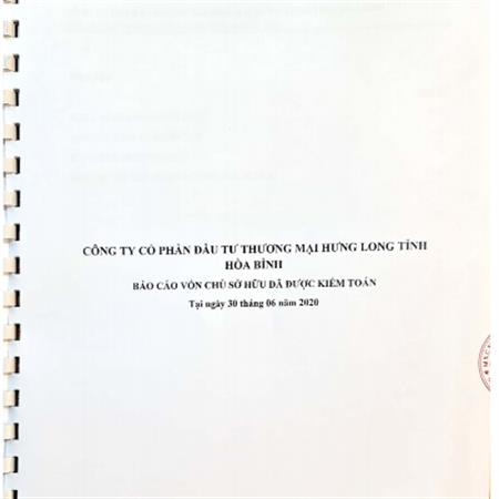 Công bố thông tin Báo cáo kiểm toán Vốn chủ sở hữu Công ty