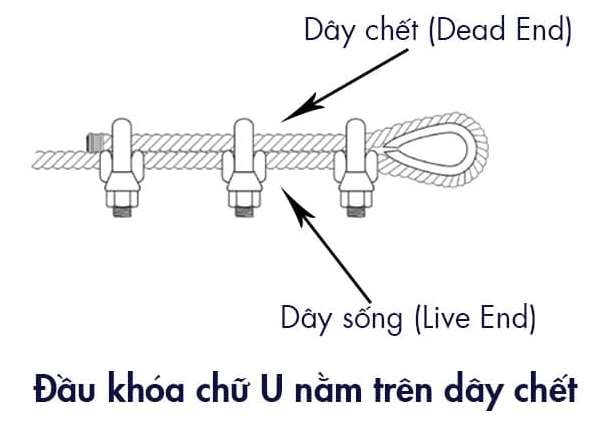Cách sử dụng ốc siết cáp đúng cách 