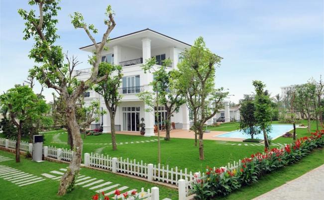 Cung cấp cây hoa công trình 1