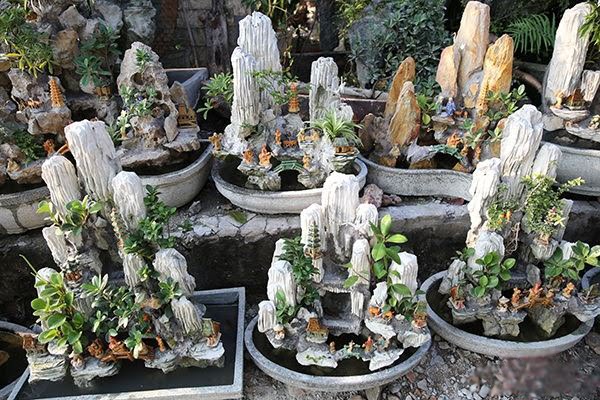 Thiết kế và thi công hòn non bộ, tiểu cảnh 2