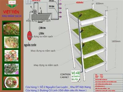 Dự án 'rau mầm sạch' với hệ thống tưới tự động