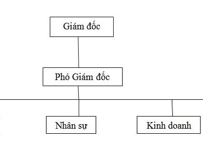 Cơ cấu lãnh đạo, tổ chức