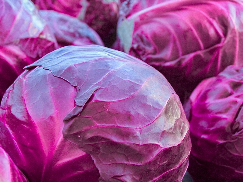 Bắp cải đỏ