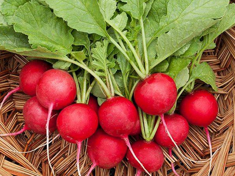 Củ cải đỏ