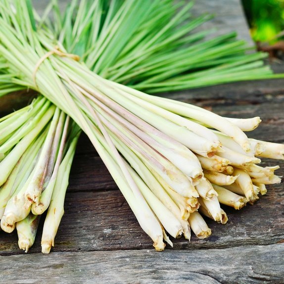 Công dụng đa năng của sả tươi