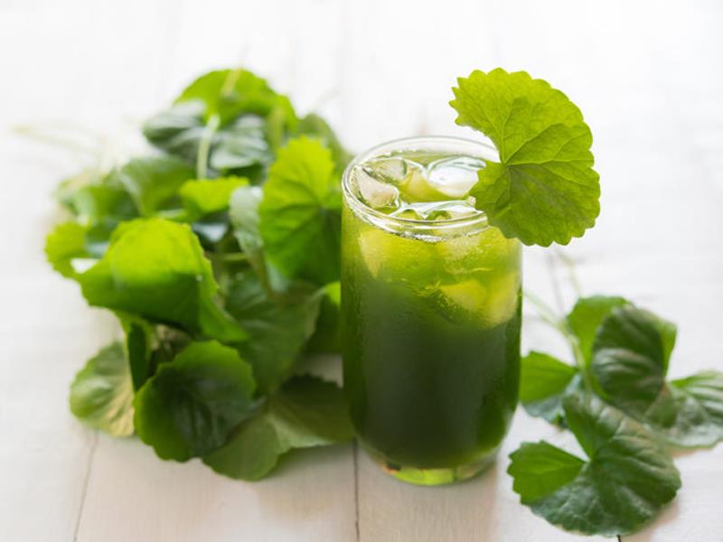 Cách làm nước rau má tươi cực dễ, bổ dưỡng cho ngày hè!