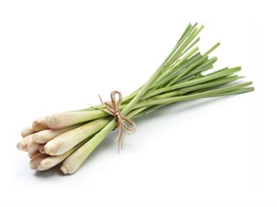 Sả tươi (Củ sả tươi)