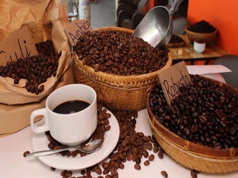 Những điều bạn cần biết về cafe Robusta