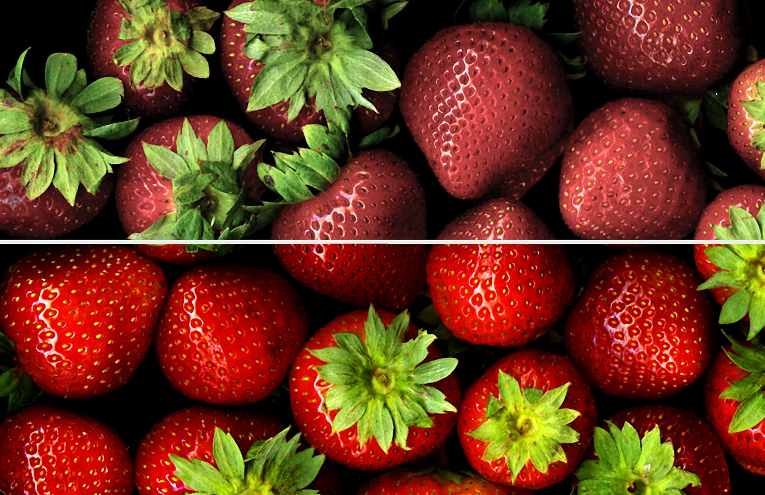 5 cách để chọn bóng đèn phù hợp với nhu cầu sử dụng của bạn 3