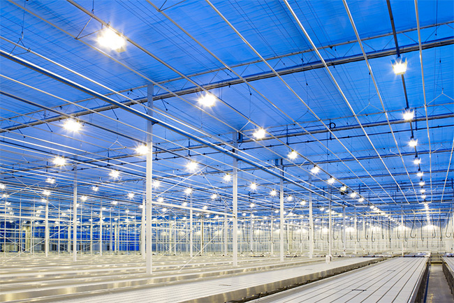 Yêu cầu đối với chiếu sáng cho nhà xưởng, nhà kho 1