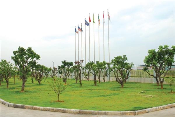 Liên kết thị trường