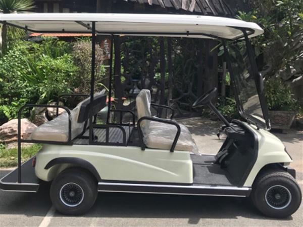 Xe golf điện LT-A2+2.GC