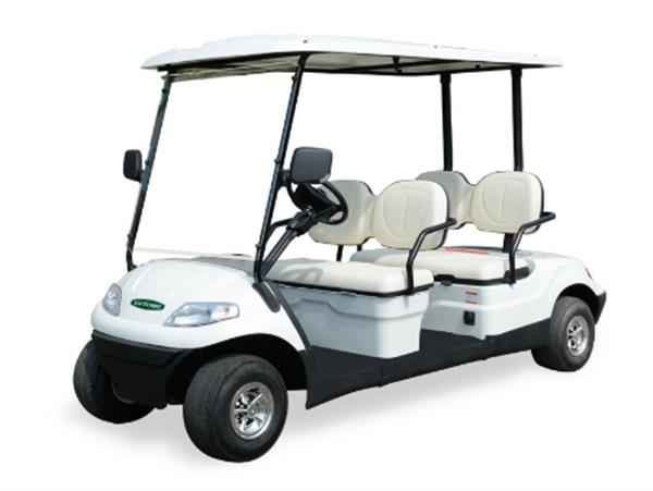 Xe golf điện Model LT-A627.4