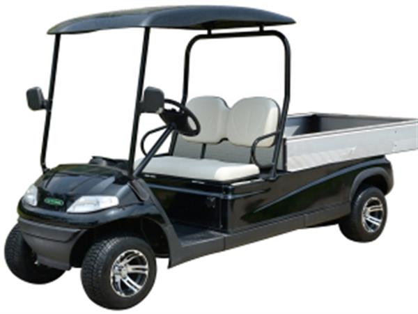 Xe điện chở hàng Model LT-A627.2.H8