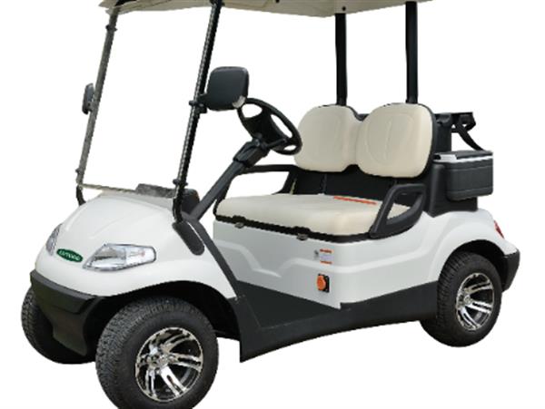 Xe golf điện Model LT-A627.2