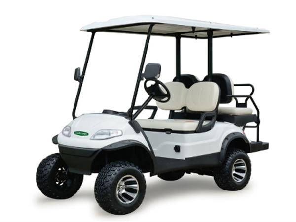 Xe điện kiểu dáng cao Model LT-A627.2+2G