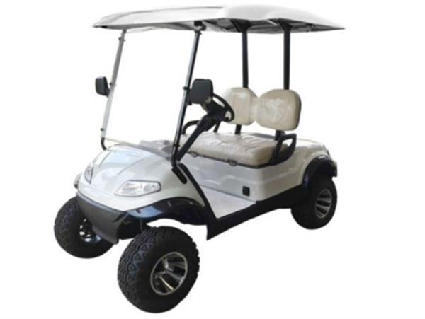Xe điện kiểu dáng cao Model LT-A627.2G