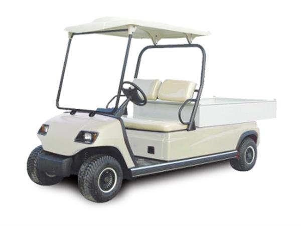 Xe điện chuyên dụng Model LT-A2.H2