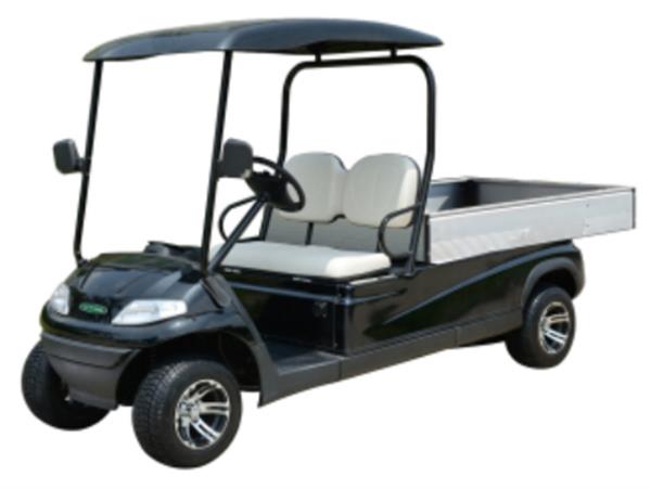 Xe điện chuyên dụng Model LT-A627.2.H8