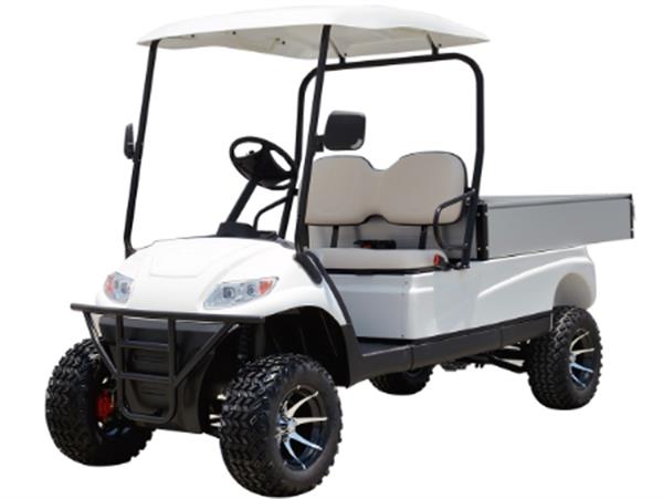 Xe điện chuyên dùng Model LT-A617.H2G