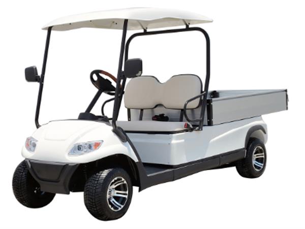 Xe điện chuyên dùng Model LT-A617.H8