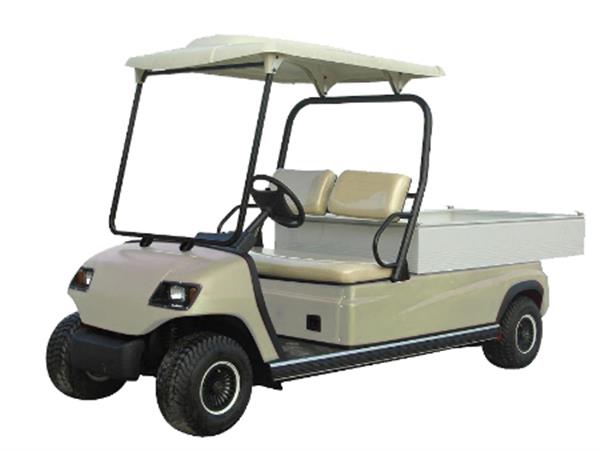 Xe điện chuyên dùng Model LT-A2.H8