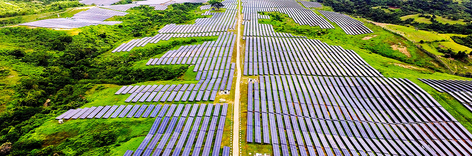 Cánh đồng điện mặt trời tại Việt Nam