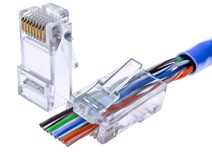 Hạt mạng là gì? Đặc điểm của hạt mạng