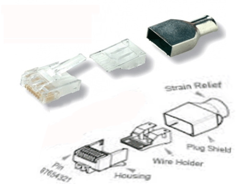 Hạt mạng là gì? Đặc điểm của hạt mạng 2
