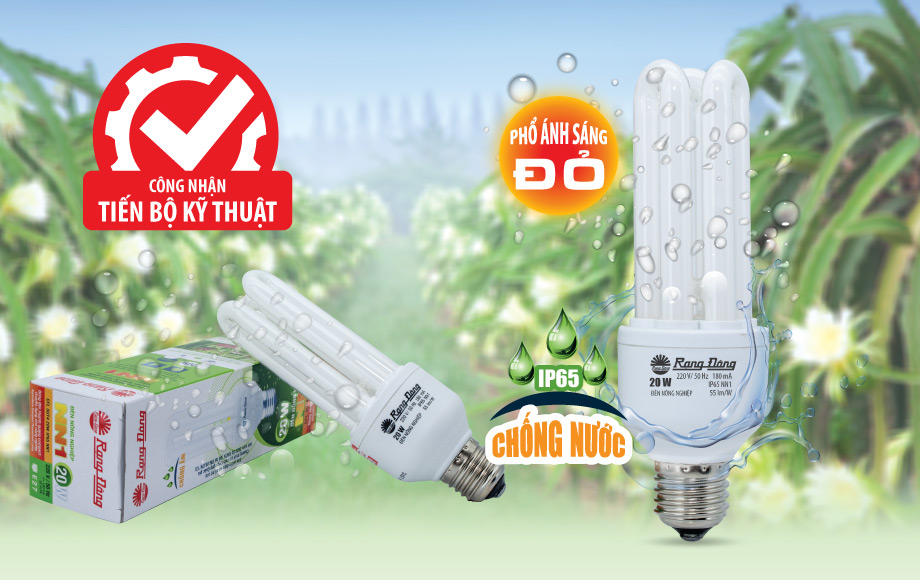 Bóng đèn compact: Lắp đặt không phù hợp, sẽ tốn điện