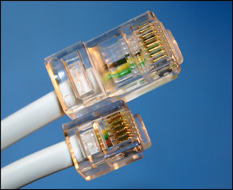 Hạt mạng là gì? Đặc điểm của hạt mạng