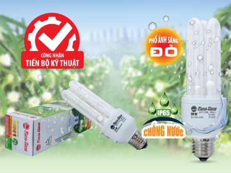 Bóng đèn compact: Lắp đặt không phù hợp, sẽ tốn điện